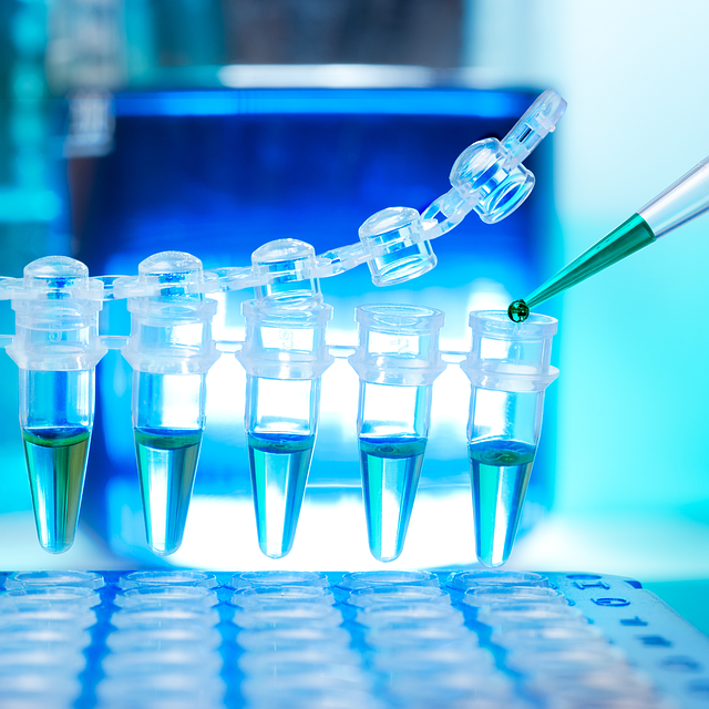 液體耐黃變體系用高活性催化劑，易于在多元醇中分散，不影響透明度