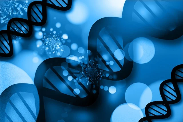 高選擇性CASE(非泡PU)通用催化劑，專注于凝膠反應，提高強度